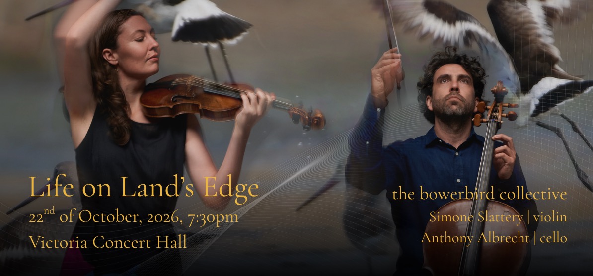 The Bowerbird Collective concert poster