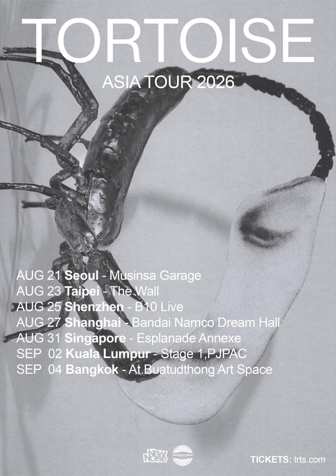 Tortoise concert poster